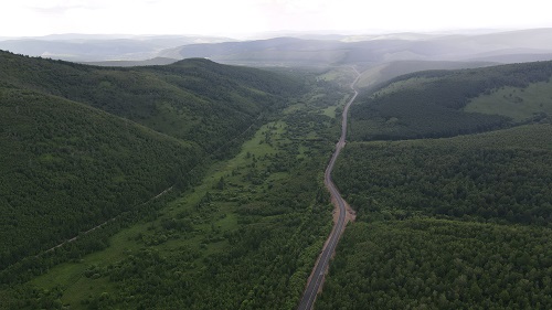 1625188190123010.jpg 520.jpg